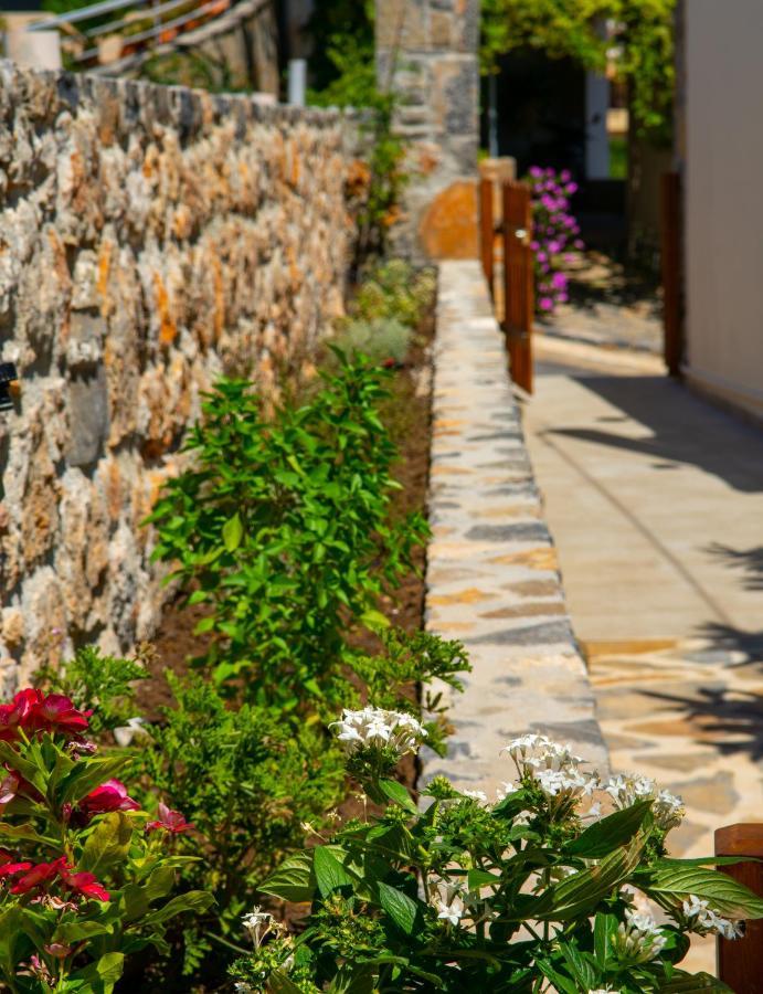 Eleni'S Cozy House Villa Agios Nikolaos  Exterior photo